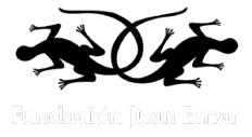 Fundación Juan Emar